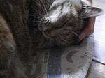 CIMG0307.JPG