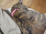 CIMG0305.JPG