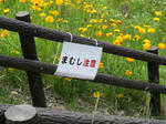 CIMG0351.JPG