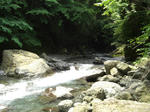 CIMG0361.JPG