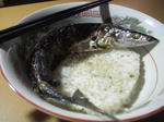 CIMG0385.JPG