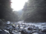CIMG0436.JPG