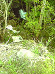 100504-065719.jpg