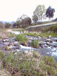 100504-080125.jpg
