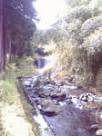 100504-110655.jpg