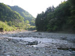 IMG_1239.JPG