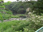 CIMG0824.jpg