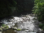 CIMG0836.jpg