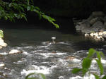 CIMG0841.jpg