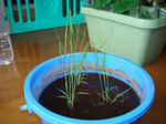 DSC01072.jpg