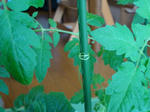 DSC01095.JPG