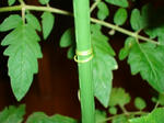 DSC01103.JPG
