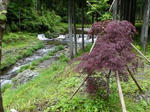 DSC00047.jpg