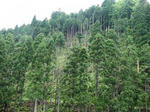DSC00046.jpg