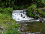 DSC00052.jpg