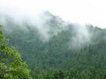 DSC00056.jpg
