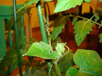 DSC01108.JPG
