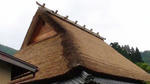 DSC00063.jpg