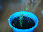 DSC01121.jpg