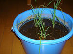 DSC01125.jpg