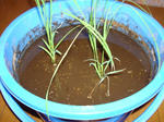 DSC01135.jpg