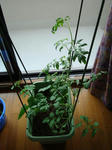 DSC01139.jpg