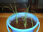 DSC01150.jpg