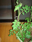 DSC01157.jpg