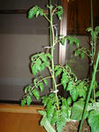 DSC01164.jpg