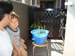 DSC01168.jpg