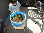 DSC01169.jpg