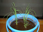 DSC01179.jpg