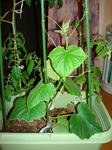 DSC01181.jpg