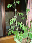 DSC01182.jpg