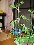 DSC01192.jpg