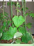 DSC01200.jpg