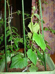 DSC01205.jpg