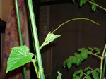 DSC01206.jpg