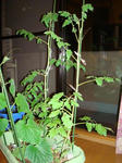 DSC01207.jpg