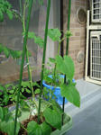 DSC01219.jpg