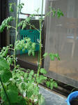 DSC01221.jpg