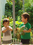DSC01242.jpg
