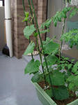 DSC01265.jpg