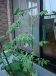 DSC01266.jpg