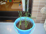 DSC01279.jpg