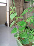 DSC01280.jpg