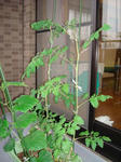 DSC01281.jpg