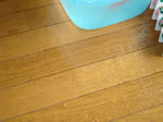 DSC01283.jpg