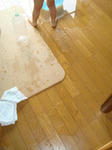 DSC01284.jpg