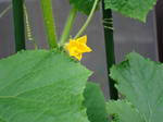 DSC01299.jpg